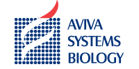 Aviva Systems